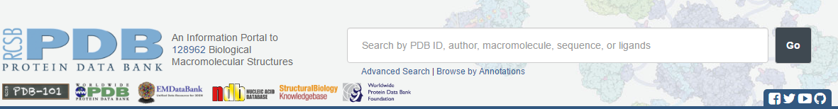 Search box on the PDB website