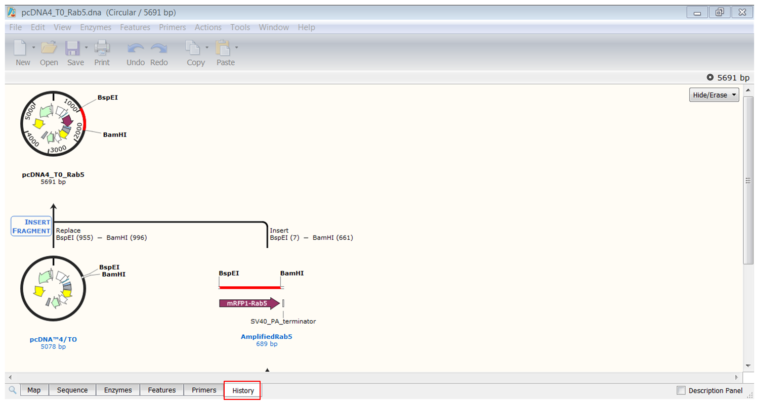 export gtf from snapgene viewer